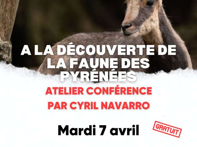 Conférence sur la faune des Pyrénées par Cyril Navarro