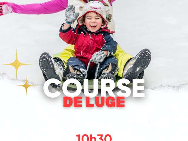 Course de luge