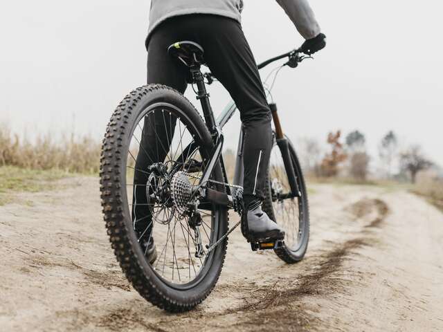 Animation VTT