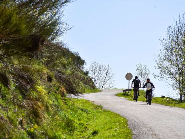 ARLES-SUR-TECH  - COL DE BATERE