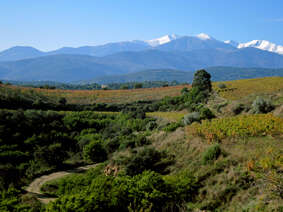 DOMAINE SAQUÉ