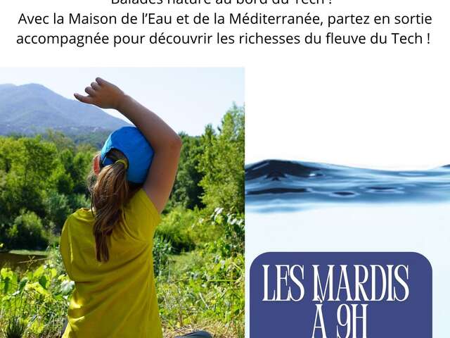 SORTIE AU BORD DU TECH