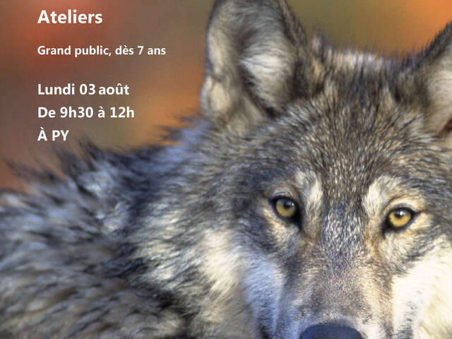 FESTIVAL NATURE : TOUT SAVOIR SUR LE LOUP
