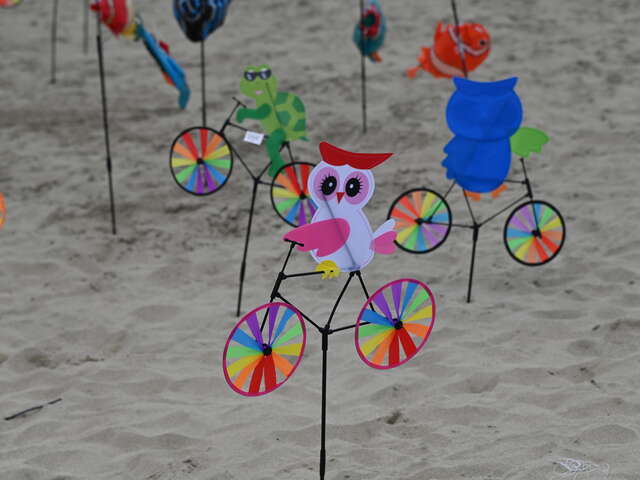 FESTIVAL DU CERF VOLANT