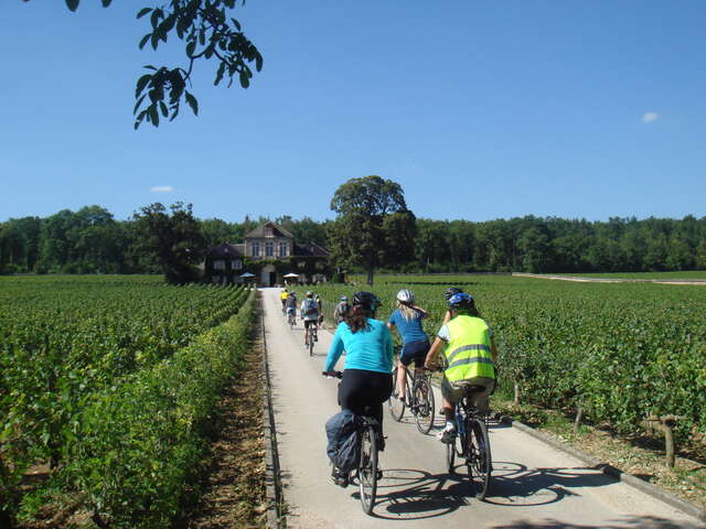 Location vélo : Bourgogne Evasion Beaune by Active Tours