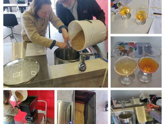 Atelier « c’est vous le brasseur »