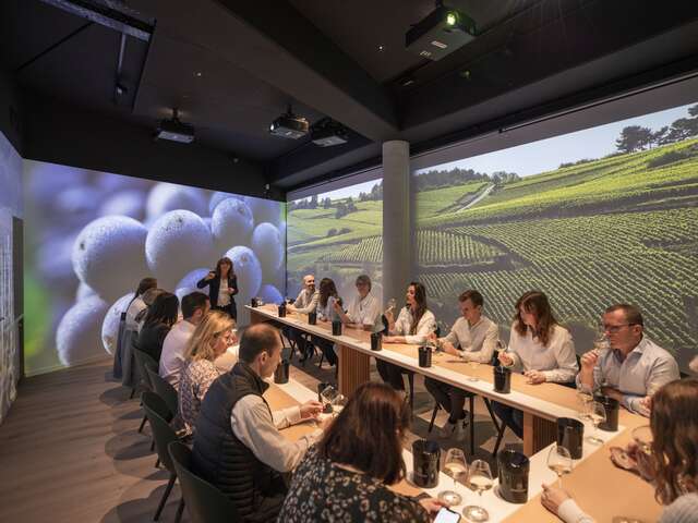 Ecole des Vins - Atelier immersif : Initiation à la dégustation