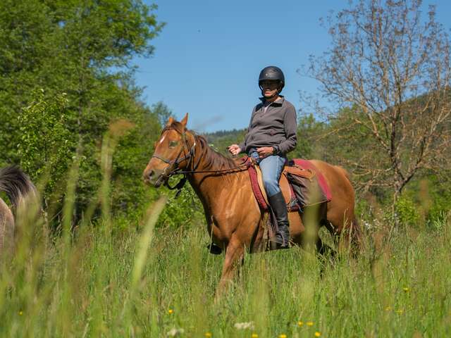 Poney-Club de Verrière