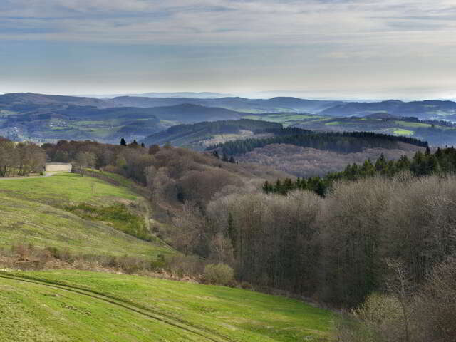 La Châtaigneraie