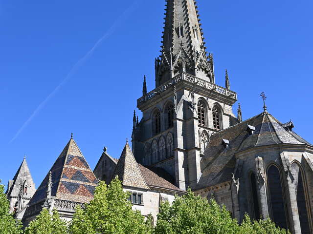 Cathédrale Saint-Lazare