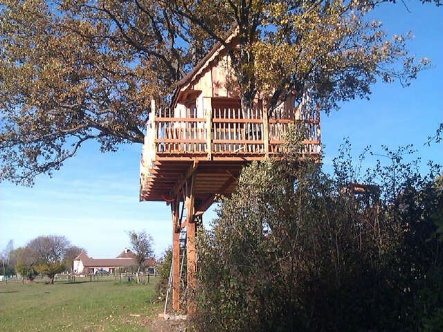 L'Arche de Noé - Cabane dans les Arbres