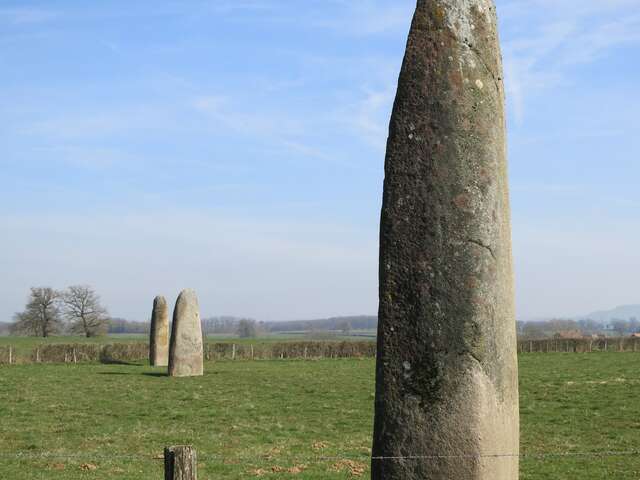 Menhirs d'Epoigny