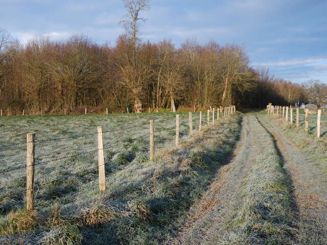 Sentier des oiseaux