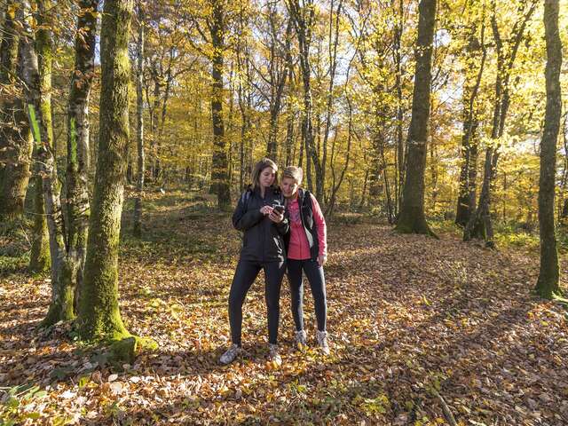 Circuit pédestre du Petit Maillezais