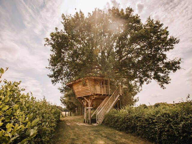 LA CHOUETTE CABANE