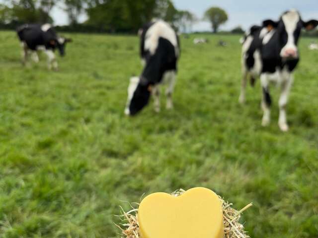 Savon de la Ferme pedagogique du Coudray