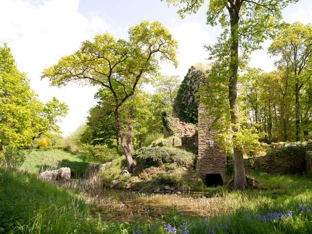 RUINES DU CHÂTEAU DU GOUST