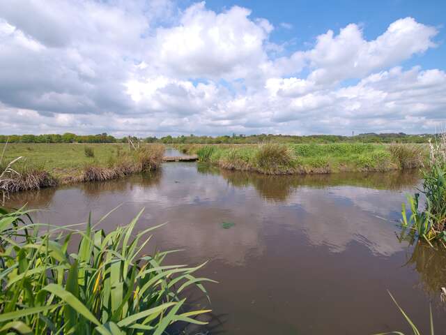 LES MARAIS DE LOIRE