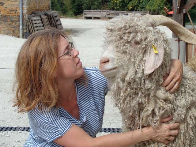 Industrielle Attitude : Mohair du Maine