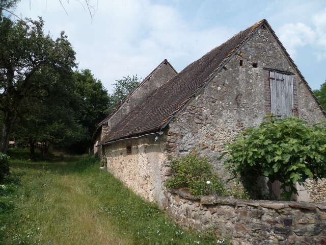 CIRCUIT N°36 : ESSENCES DES HAIES DU PERCHE SARTHOIS - VOLNAY