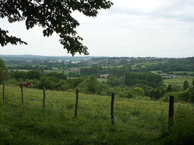 N°9 : Paysages de la Vallée de l'Huisne