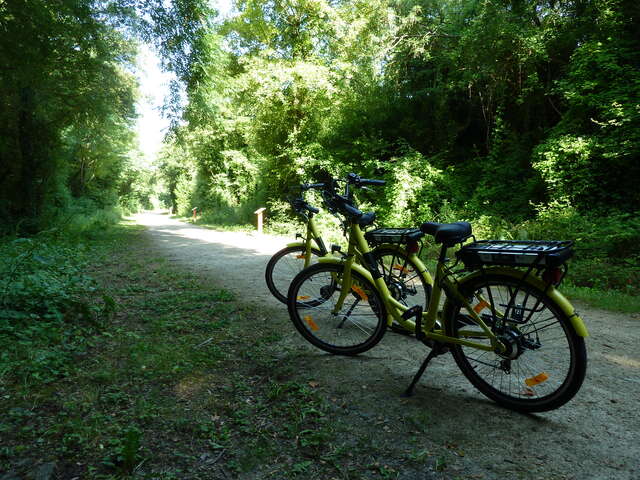 PARCOURS CYCLO - CAP SUR LA FORÊT DE PERSEIGNE