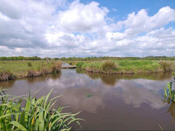 MARAIS DE LOIRE