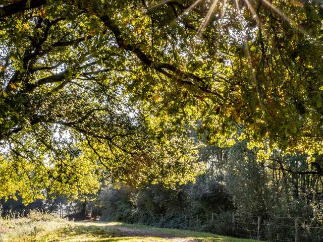 MARAIS ET BOCAGE