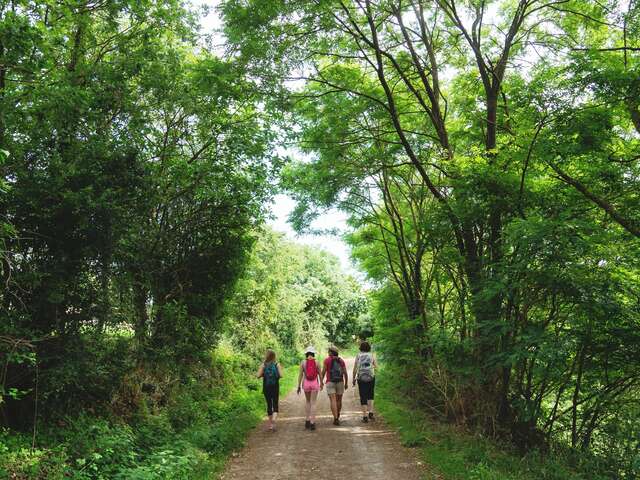 SENTIER DU SILLON DE BRETAGNE