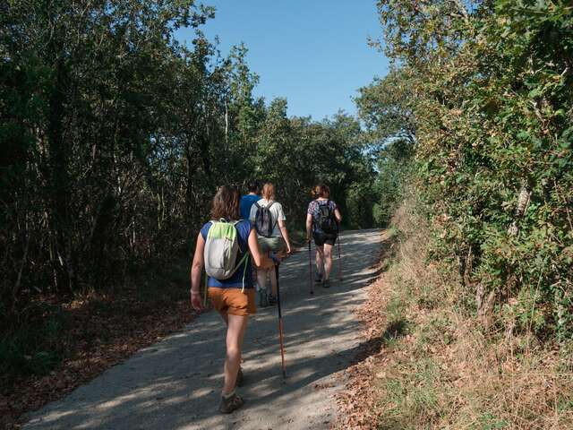 SENTIER DU TERTRE