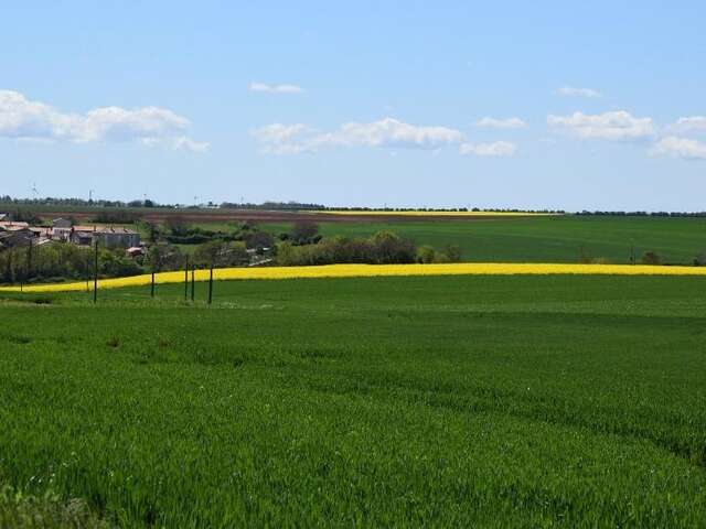 CIRCUIT VTT N°12 - BOUCLE DE SÉRIGNÉ PISSOTTE