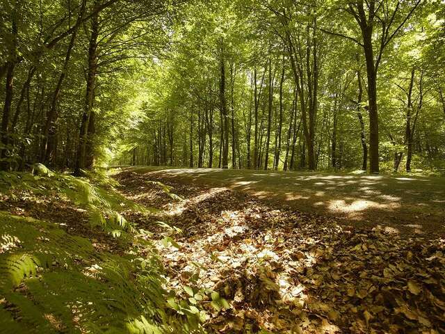 CIRCUIT VTT N°13 - SAINT-MICHEL-LE-CLOUCQ