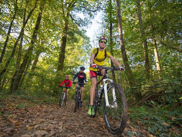 CIRCUIT VTT N°4 - SAINT-LUC