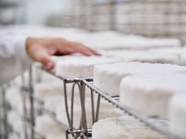 INDUSTRIELLE ATTITUDE : FROMAGERIE VAUBERNIER
