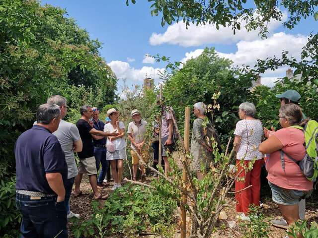Visite guidée du jardin-forêt gourmand