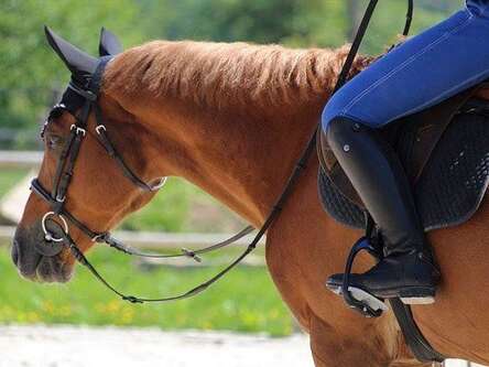 HORSERINDING - HARAS DE LA PELOIS