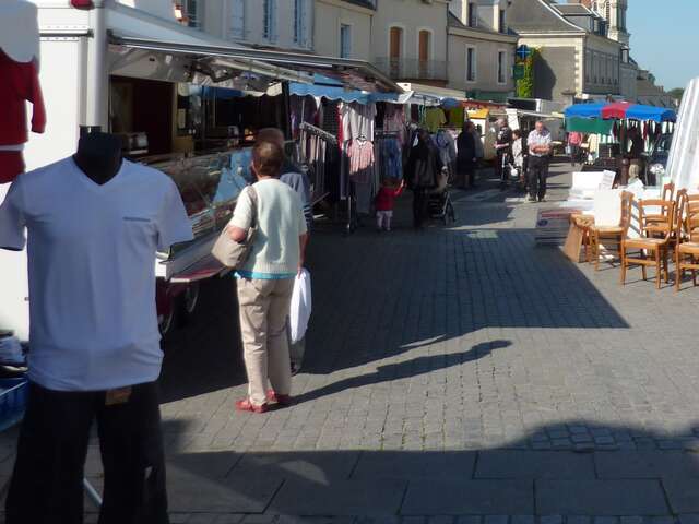 Marché en Anjou bleu - Le Lion d'Angers