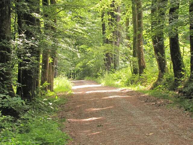 Tracé pédestre La Porte du Bocage