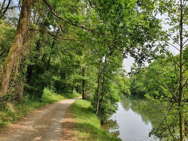 Circuit pédestre Puy Chabot