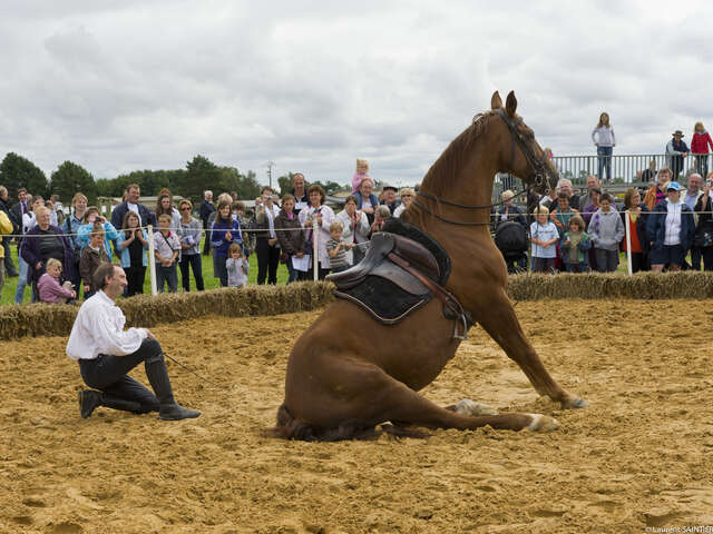 Fête du cheval