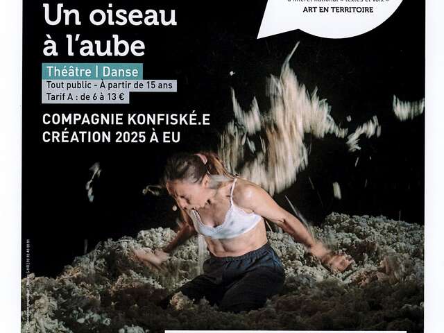 Théâtre - Danse : Un oiseau à l'aube