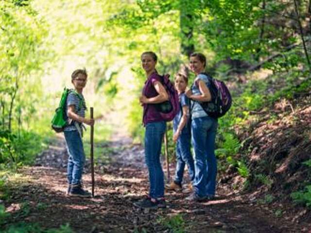 Randonnée guidée - Fabriquez votre bâton de marche