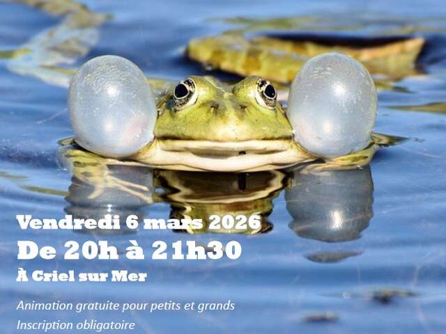 Nuit de la grenouille