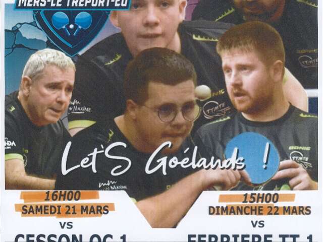 Tennis de table : Championnat de France par équipe