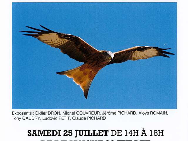 Exposition : Phorestimalia