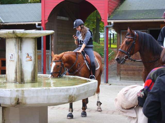 Les Écuries du Marottin