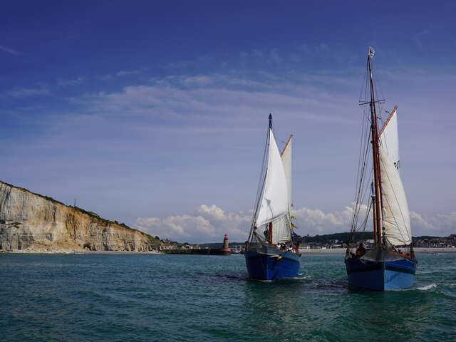 Au gré des vents - Sortie en mer sur vieux gréements