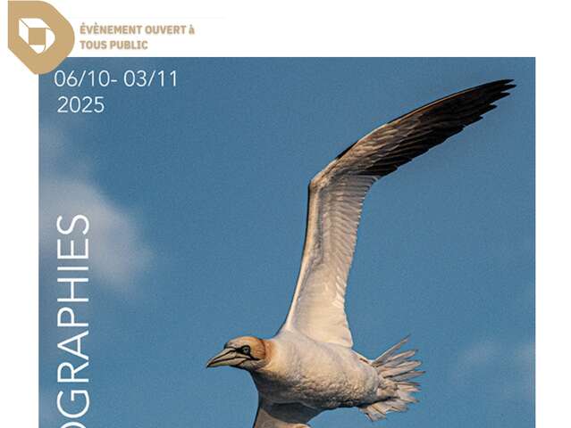 Exposition de photographies