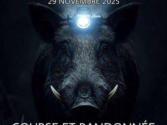 4ème édition : Noc'route - Course et marche sur route forestière