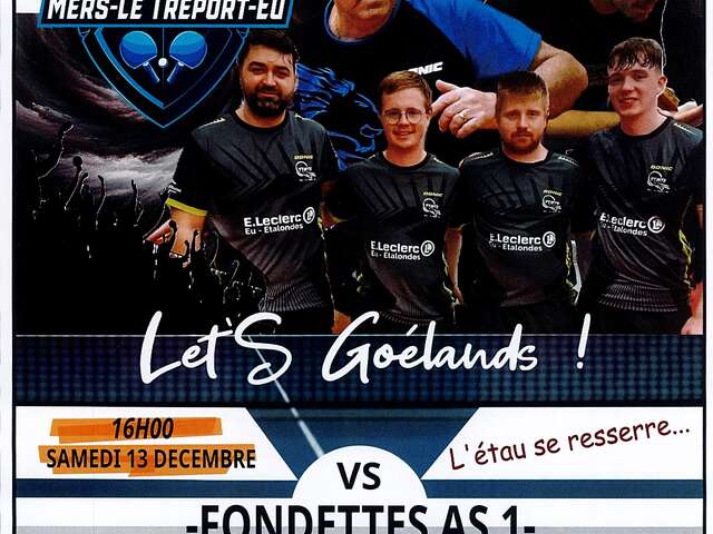 Tennis de table : Championnat de France par équipe